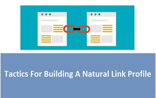 Tactics For Building A Natural Link Profile