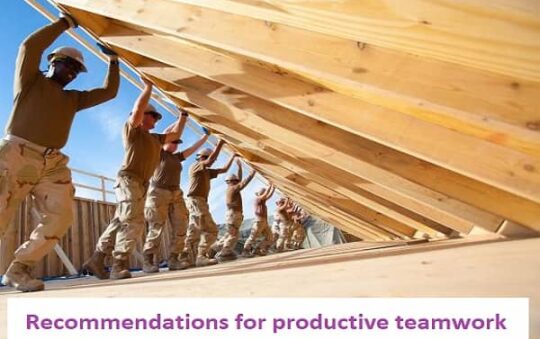 Recommendations for productive teamwork