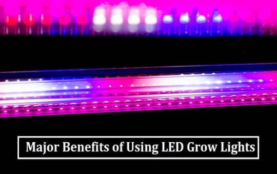 Major Benefits of Using LED Grow Lights