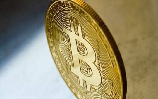 What Did Investors Look In Bitcoin Trading Before Investing?