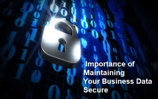 Importance of Maintaining Your Business Data Secure