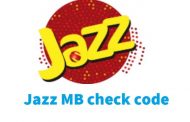 Jazz MB Check Code 2022