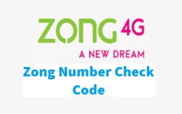 Zong Number Check Code 2022