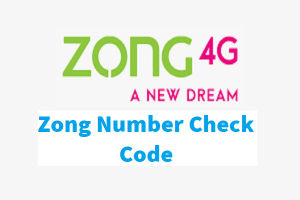 Zong Number Check Code